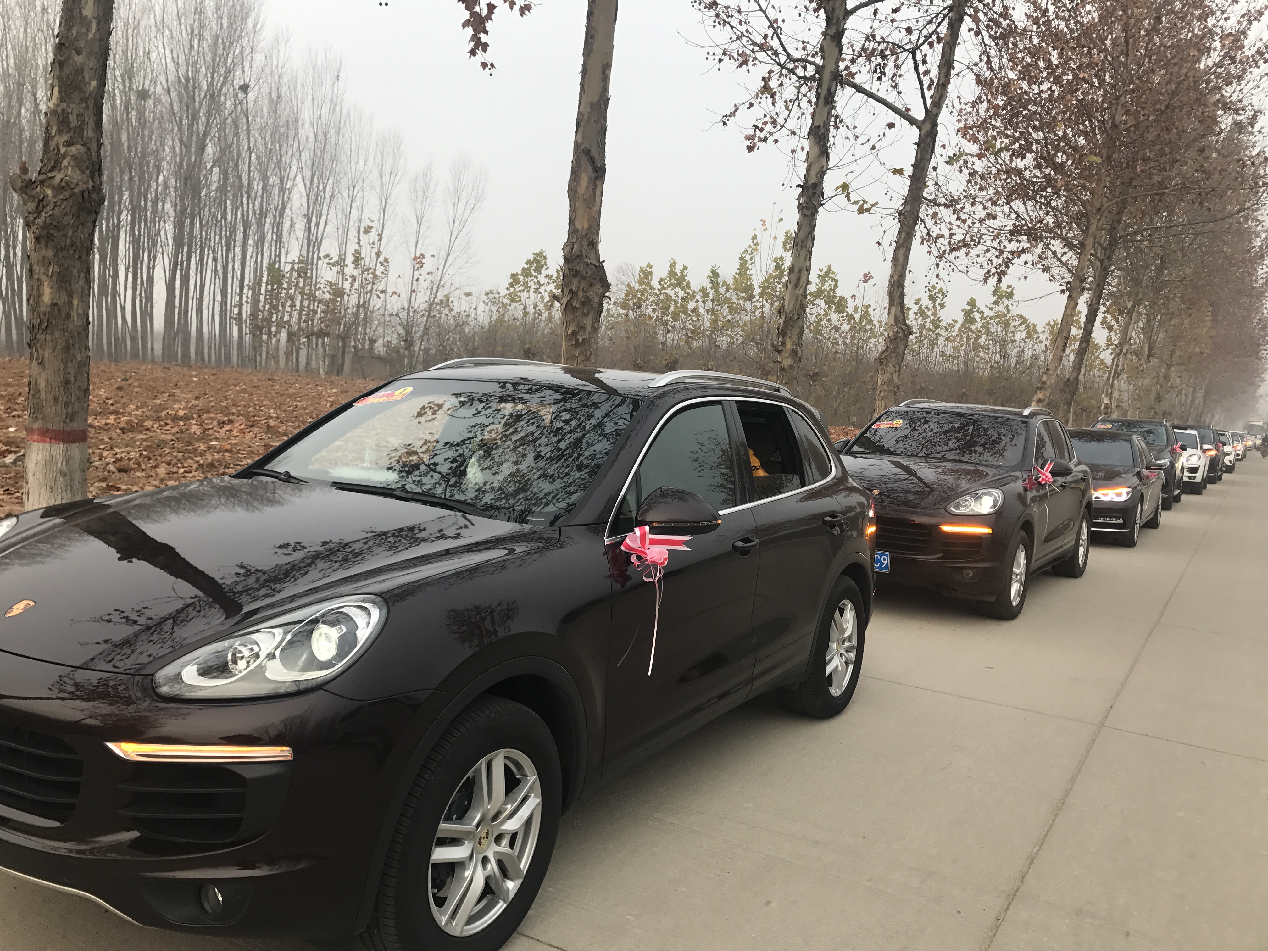 第183所 泰安市岱岳区良庄镇乐鱼在线登陆入口-乐鱼（中国）
李娜小学