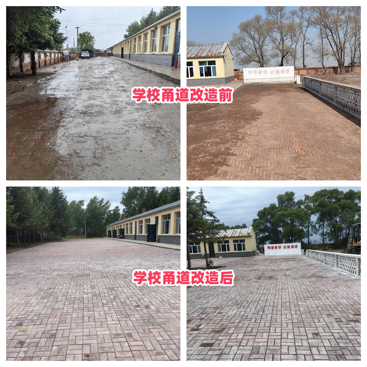 第254所 黑龙江巴彦县黑山镇民乐村乐鱼在线登陆入口-乐鱼（中国）
侯玉霞学校